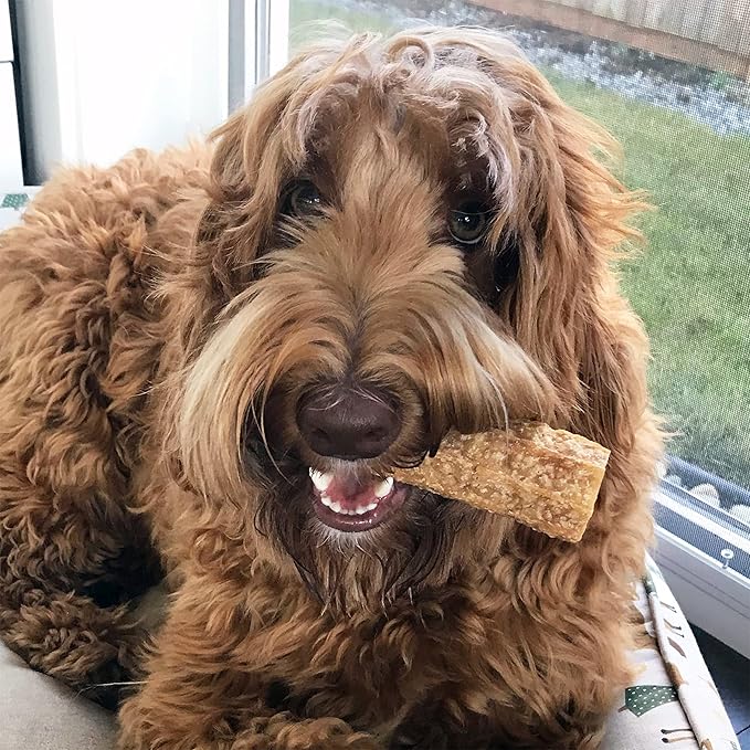 Happy Teeth Natural Cheese Dog Chews | Peanut Butter Flavor | Dental Chew | Protein Rich | Gluten Free - Lactose Free - Wheat Free - Soy Free | 2 Happy Teeth Chews per Resealable Pouch (Pack of 2)