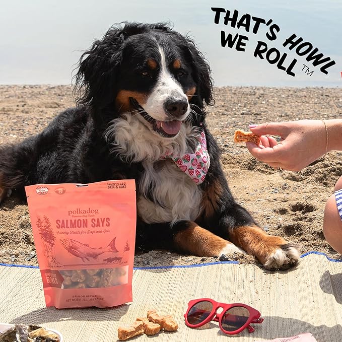 Polkadog Salmon Says Bone Shaped Dog Treats - Wild-Caught Salmon, Crunchy, All Natural, Limited Ingredient, Lean Protein & Omega-3 Rich Snacks for Dogs, Great for All Breeds, Made in USA - 7oz
