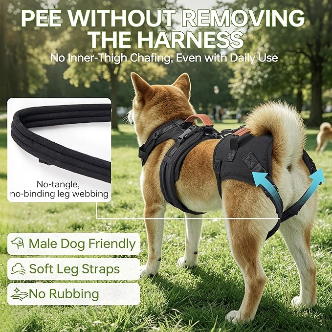 Dog Lift Harness for Male Dogs - 2-in-1 Full Body Support Aid & Sling, Comfortable & Chafe-Free for Post-Surgery Recovery and Elderly Dog Mobility, Hind Leg Assistance, Supports up to 55 Lbs (L)