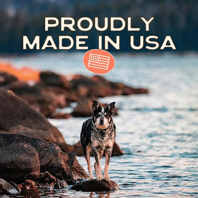 Smart Cookie Salmon Jerky Dog Treats - DHA & Omega Strips for Dogs & Puppies with Allergies, Sensitive Stomachs with Wild Caught Alaskan Salmon- Dehydrated, Grain Free, Made in USA - 3oz Bag Pack of 1