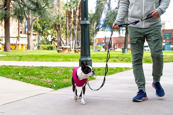 Gooby Puffer Vest Dog Jacket - Purple, X-Small - Ultra Thin Windbreaker with Dual D Ring Leash - Water Resistant Small Dog Sweater Coat