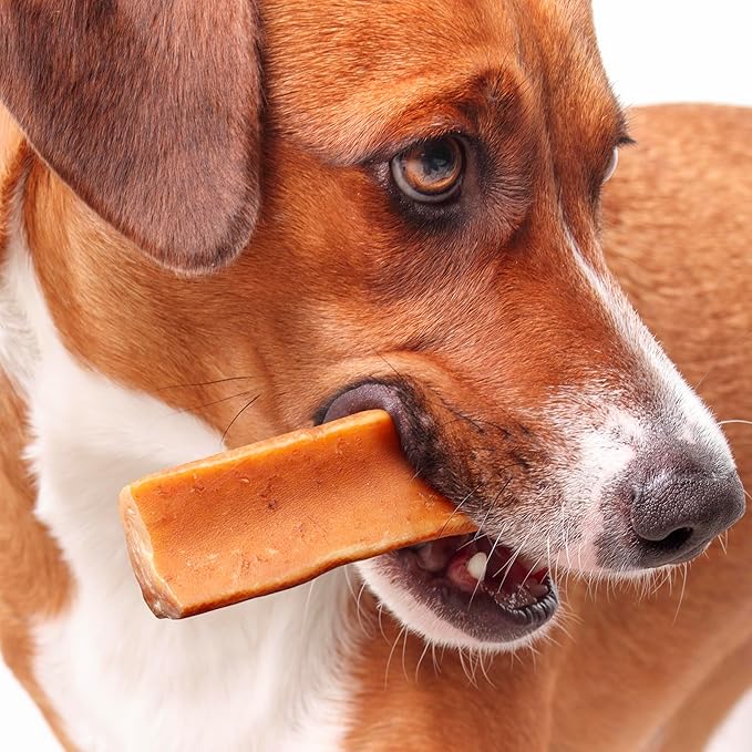 Yak Chews Blueberry, Strawberry, Peanut Butter, Cranberry Medium Pack 4 - Himalayan Yak Chews for Dogs - Natural Dog Chew