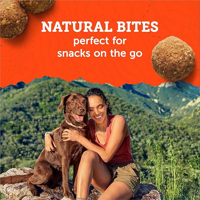 Zuke's Adventure Bites Chicken & Pumpkin Recipe Soft Dog Treats, 6 oz. Pouch