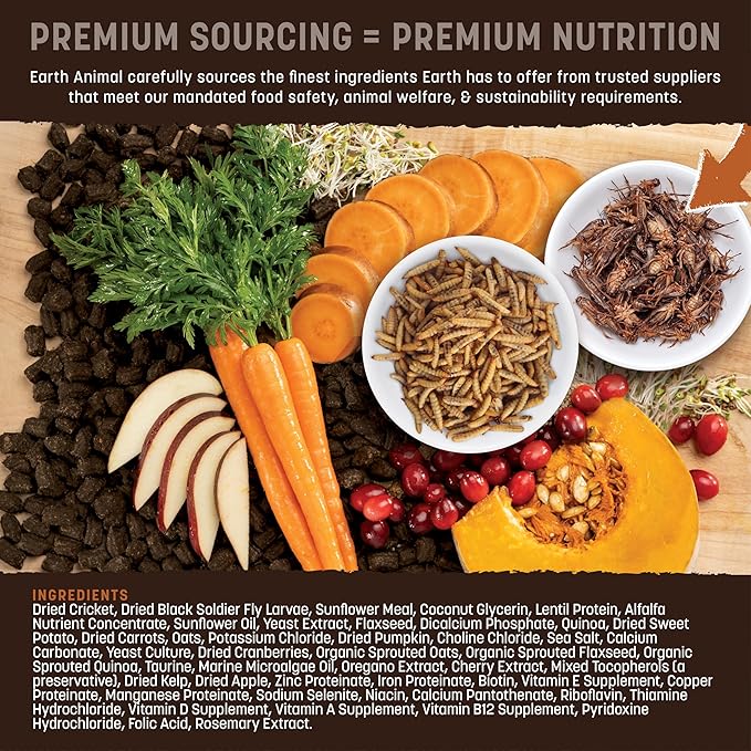 Earth Animal Wisdom Air Dried Dog Food - From the Soil Recipe Premium Natural Dry Dog Food for All Adult Breeds - 2 Lbs Bag