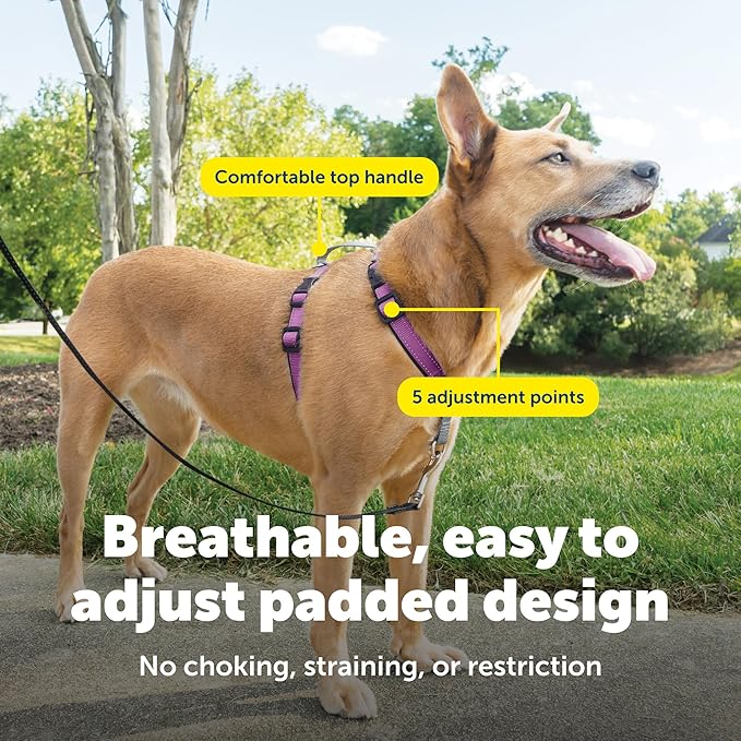 PetSafe 3 in 1 No-Pull Dog Harness for Medium Dogs- Walk, Train or Travel - Helps Pets from Pulling on Walks - Seatbelt Loop Doubles as Quick Access Handle - Reflective - Medium, Plum