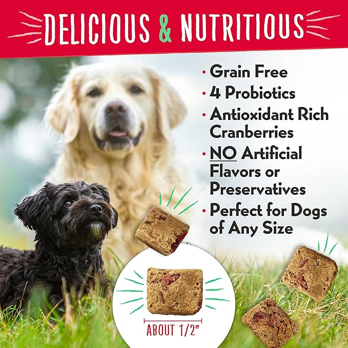 Charlee Bear Grain Free Meaty Bites Freeze Dried Dog Treats, Chicken and Cranberries, 2.25 Ounce Resealable Bag, Training Treats or Meal Topper Dogs, High Protein Dog Snacks, Made in USA