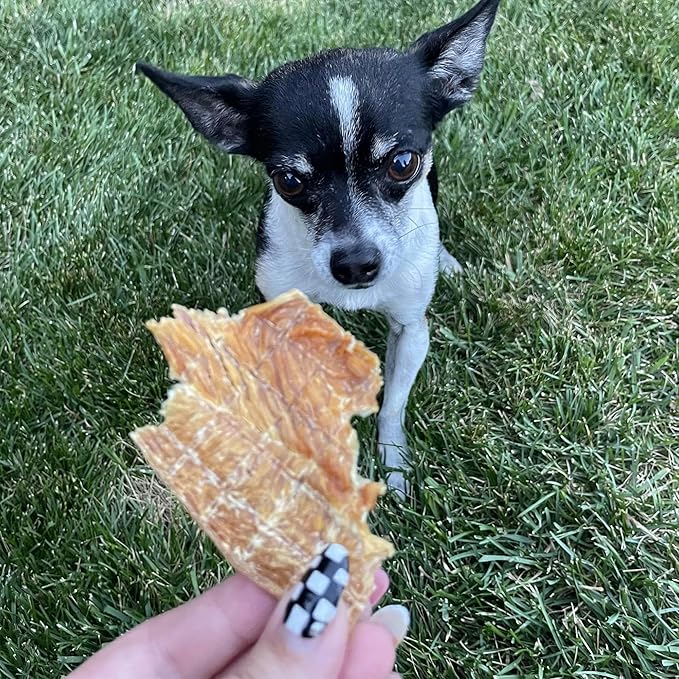 Pupford Crunchy Jerky Treats for Dogs & Puppies, Made in USA, Single Ingredient, No Fillers (Chicken, 4 oz)