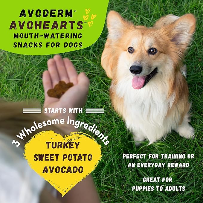 AvoDerm AvoHearts Turkey and Avocado Formula Dog Treats, 5oz Bag