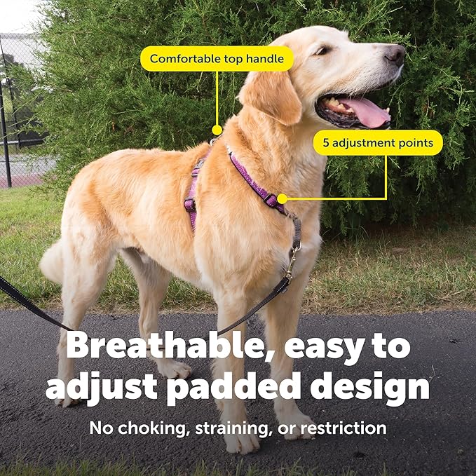 PetSafe 3 in 1 No-Pull Dog Harness for Large Dogs - Walk, Train or Travel - Helps Pets from Pulling on Walks - Seatbelt Loop Doubles as Quick Access Handle - Reflective- Large, Plum