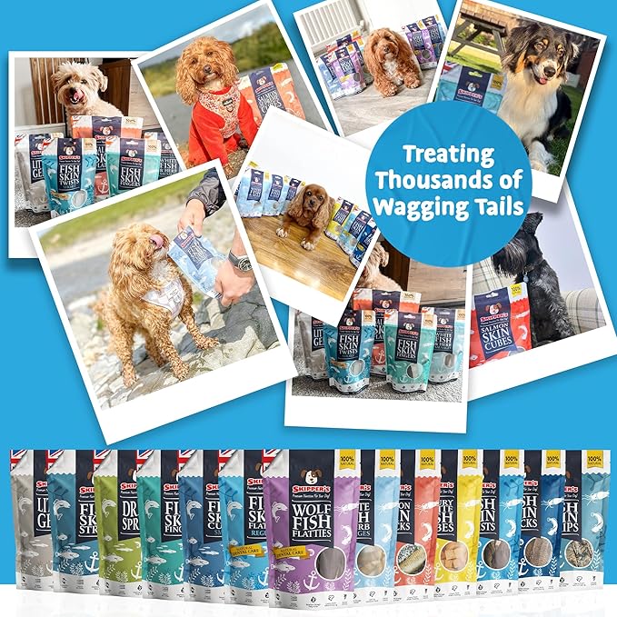 SKIPPER'S Salmon Meat Sticks Dog Treats - 100% Natural & Gently Air-Dried, Soft & Chewy Sticks for Dogs, Essential Source of Omega 3 Fatty Acids, Great for Skin & Coat | (1.76 oz)