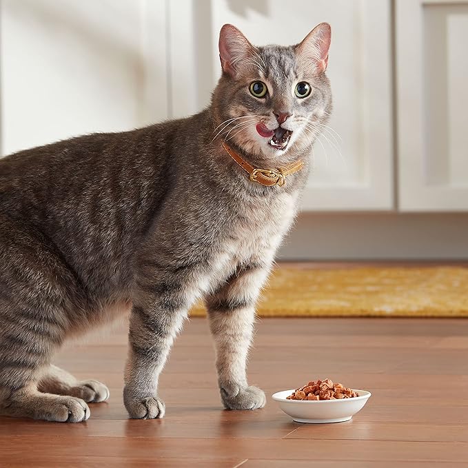 Meow Mix Seafood Favorites Chunks in Gravy Wet Cat Food Variety Pack, 2.75 Ounce (Pack of 12)