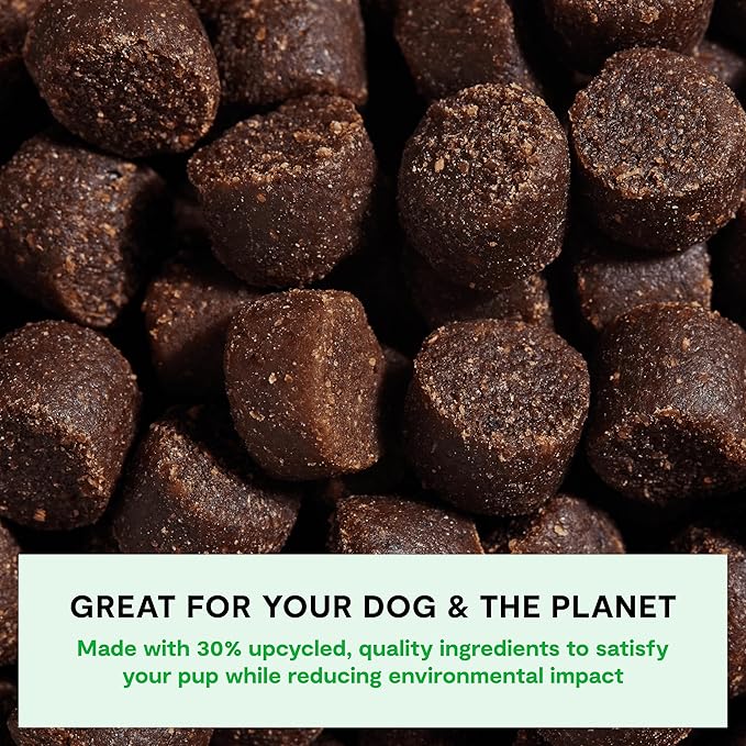 Open Farm, Be Good Bites, Soft Dog Training Treats, Small & Chewy, Made with Ethically & Sustainably Sourced Ingredients, Non-GMO Fruits & Grains, Turkey Recipe, 6oz Pouch