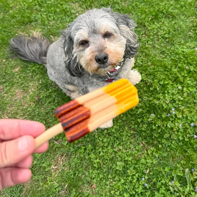 SPOT Pup Ice Dog Treats – Freeze-at-Home Edible Chews for Medium Breed Dogs & Puppies, Banana & Carob Flavor (No Chocolate), 2ct Rocket Lollies with Real Chicken