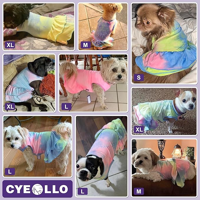 cyeollo 2 Pack Dog Dresses Spring Summer Dog Clothes Dress Breathable Pet Dresses for Small Dogs Girl, Tie Dye Medium