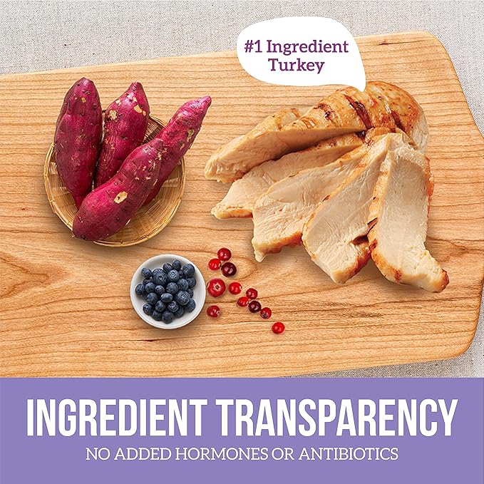 Health Extension Turkey Entrée Wet Dog Food Grain-Free, 12.5 oz – Protein-Rich Recipe, Hydration Support, Ideal for Sensitive Stomachs (Case of 12 Cans)
