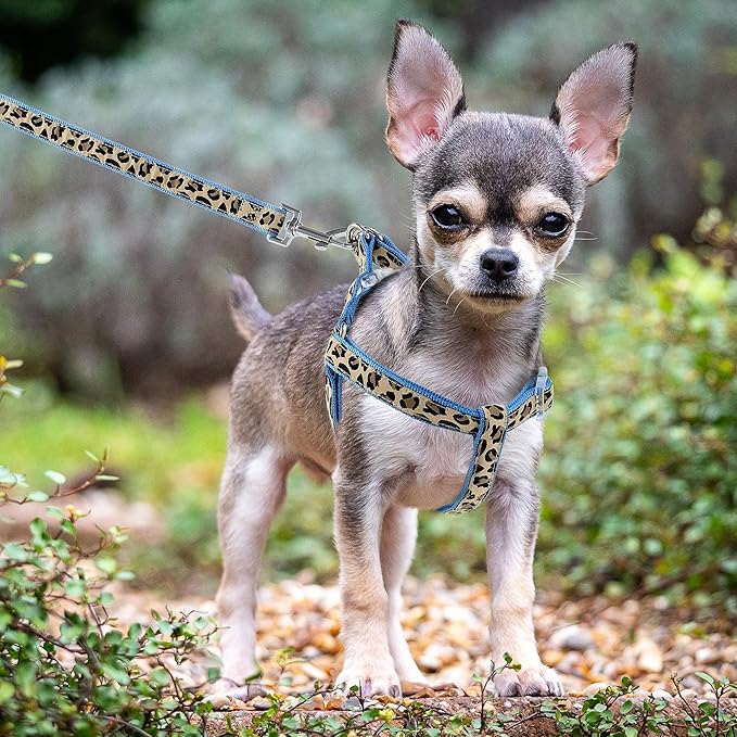 Mile High Life Leopard Dog Harness Collar Leash Set, Adjustable No Pull Dog Halter Harness for Small Breed Dogs, Easy Control for Training Walking (Blue, XS Chest 9"-15", Neck 8"-12")