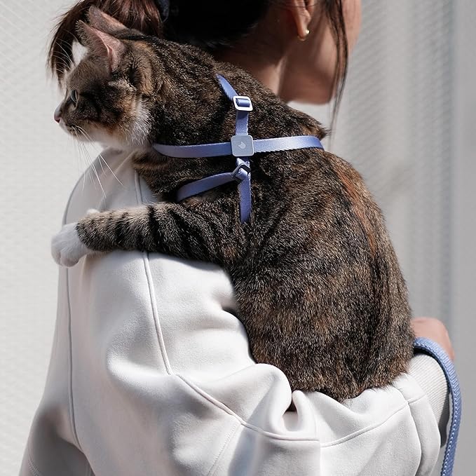 Cat Harness Escape-Proof Anti-Choking Adjustable Nylon Harness Lightweight with Anodized Aluminum Buckle, Ideal for Cats Outdoor Walking and Training, IDA Award (Sierra Blue, S (13.8"))
