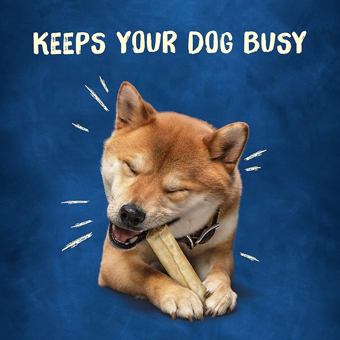 Purina Busy Rawhide Small/Medium Breed Dog Bones, Rollhide - (Pack of 12) 3 ct. Pouches