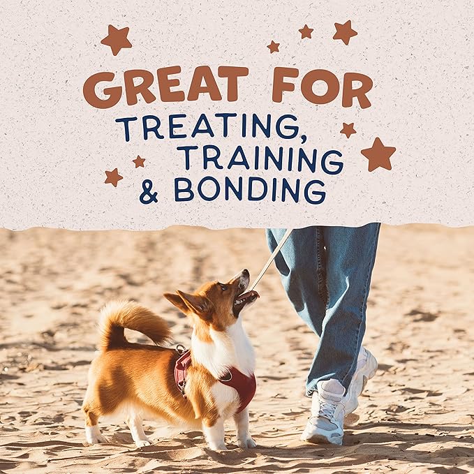 Natural Balance Limited Ingredient Rewards Crunchy Biscuits, Bite-Size Treats for Small-Breed Dogs, Made with Real Beef, 8 Ounce (Pack of 1)