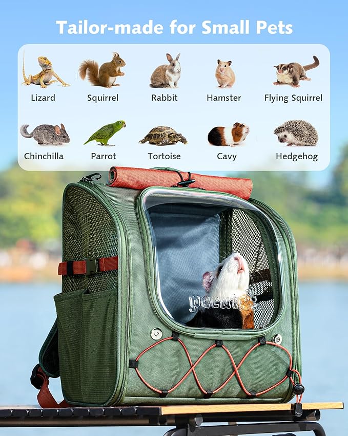 Pecute Small Pet Carrier, Breathable Guinea Pig Carrier with Transparent Bubble & Steel Frame, Safety Lock for Hamster, Rabbit, Bearded Dragon, Lizard, Ideal for Hiking, Vet Visits, Camping, Green