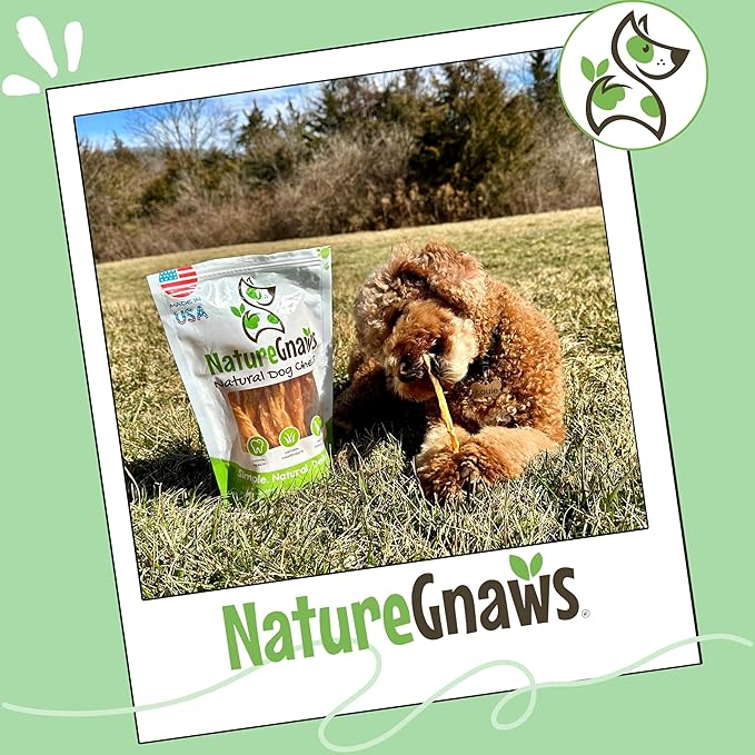 Nature Gnaws USA Turkey Tendons for Dogs (1Lb) - Delicious Grain Free Reward Snack for Small, Medium & Large Breeds - Premium Natural Dog Chew Treats