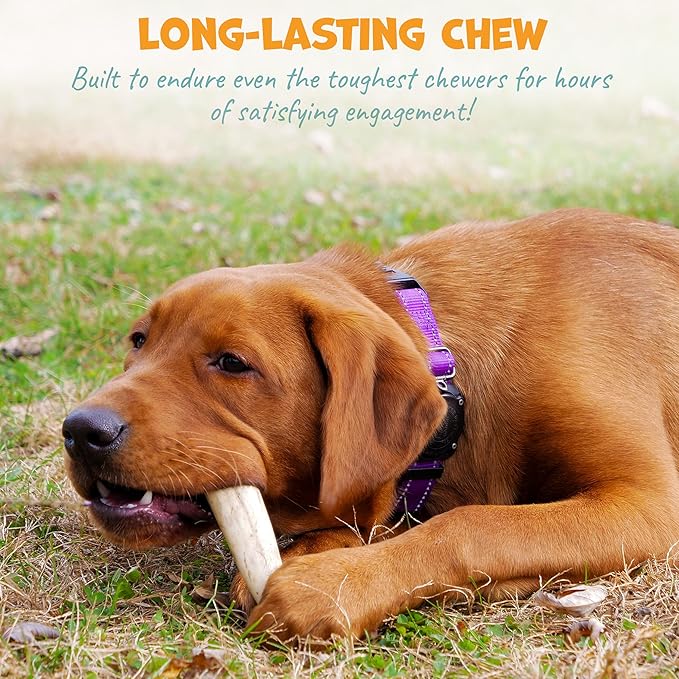 Whole Deer Antlers for Dogs - Long Lasting Chews for Aggressive Chewers - Single Ingredient Odorless Treats for Small & Medium Dogs - 4-5" (3ct)