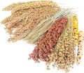 Sprays Set = Wheat + Flax + Yellow Millet + Panicle Millet + Corn Cob + Sorghum Stems, Pet Habitat Bedding Decor, Natural Hamster Chews Accessories, for Gerbil, Mice, Guinea Pig, Chinchilla, 6 Sprays