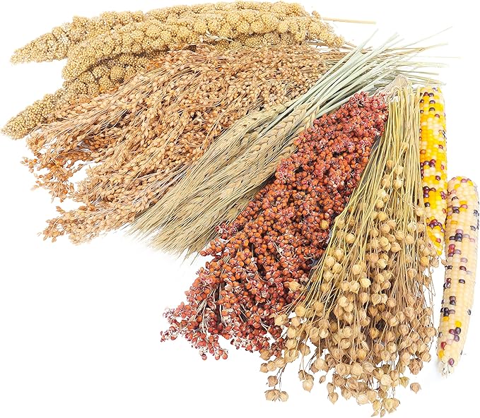 Sprays Set = Wheat + Flax + Yellow Millet + Panicle Millet + Corn Cob + Sorghum Stems, Pet Habitat Bedding Decor, Natural Hamster Chews Accessories, for Gerbil, Mice, Guinea Pig, Chinchilla, 6 Sprays