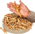 All Natural Chicken Feet Dog Treats (100 pcs) | Dehydrated for Freshness | Supports Joint Health with Glucosamine and Chondroitin | Promotes Dental Hygiene | Perfect for Small and Medium Dogs