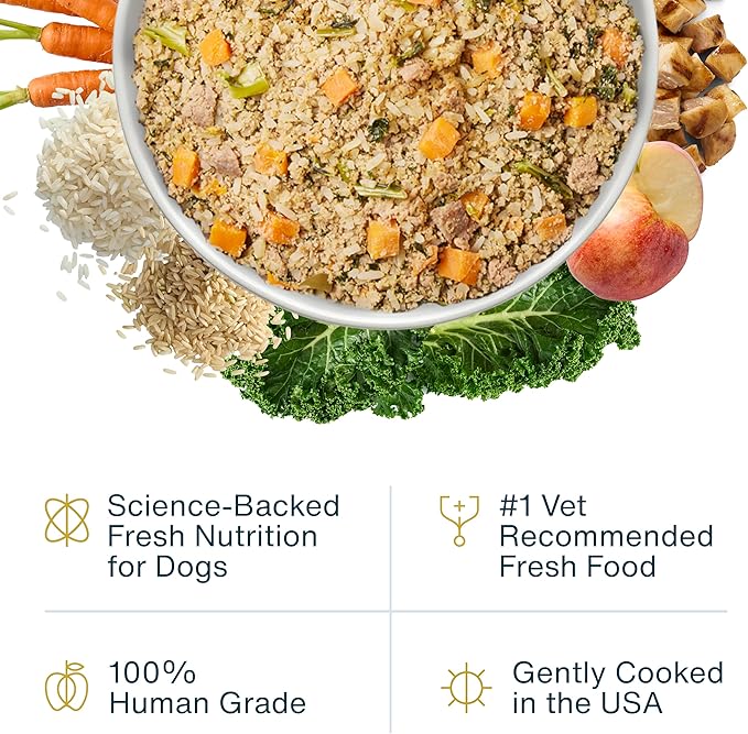 JustFoodForDogs Frozen Fresh Dog Food, Complete Meal or Dog Food Topper, Chicken & Rice Human Grade Dog Food Recipe, 72 oz (Pack of 7)