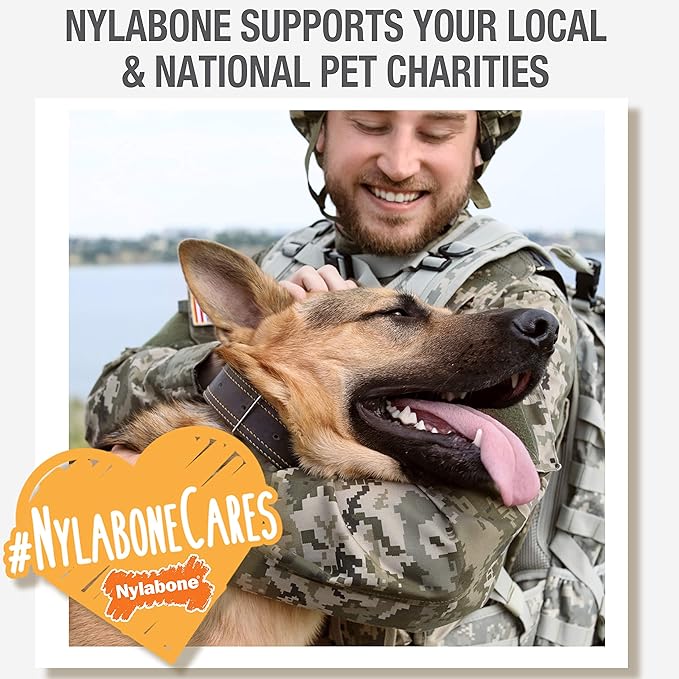 Nylabone Nubz Wild Natural Edible Chew Treats for Dogs, Made in USA, Bison Flavor, Small - Up to 25 lbs. (4 Count) (Pack of 2)