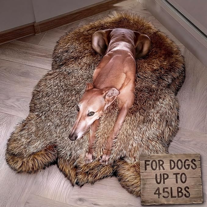 IHAPPYDOG Luxury Faux Fur Orthopedic Dog Bed, Memory Foam Dog Bed for Small, Medium, Large and XL Pets, Fluffy Pet Bed with Waterproof and Washable Cover (Brown, 40"x25")