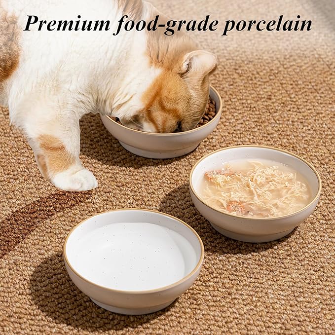 Ceramic Cat Bowl Dishes for Food and Water, Safe Food-Grade Porcelain 5.3 in 3 Pack Cat Dishes and Plates for Feeding Indoor Cats, Kittens and Small Dogs, Durable & Dishwasher Safe Pet Dish, Black