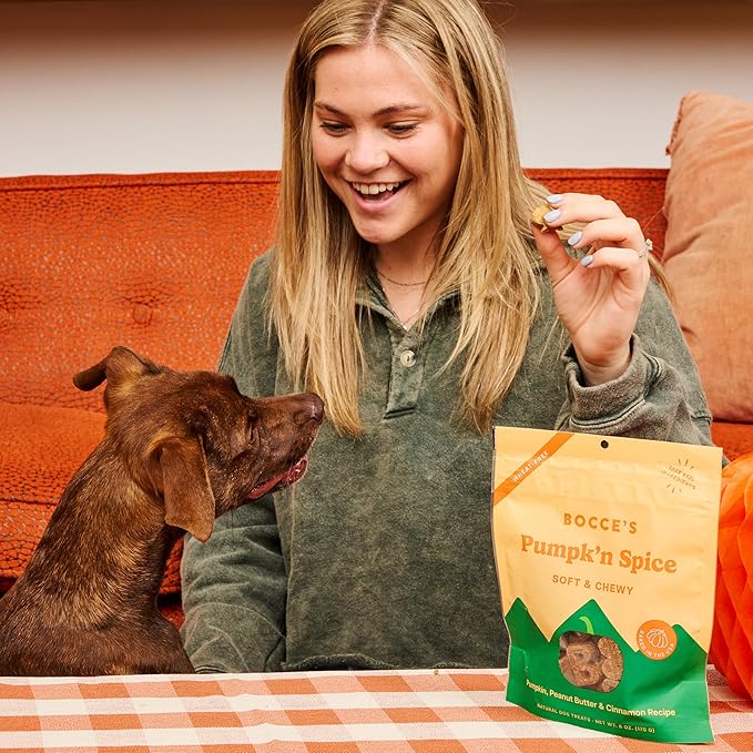 Bocce's Bakery Pumpk’n Spice Treats + Probiotic Supplement Bundle for Dogs – All-Natural, Wheat-Free Cookies & 7 Strains of Probiotics to Support Digestion – Baked in The USA with Real Ingredients