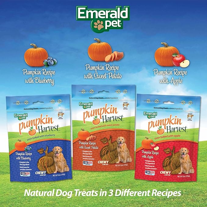Emerald Pet Pumpkin Harvest Dog Treats — Low-Fat Chewy Natural Treats with Pumpkin for Digestive Health — Meat Free, Poultry Free, Wheat Free — Apple, 6 oz