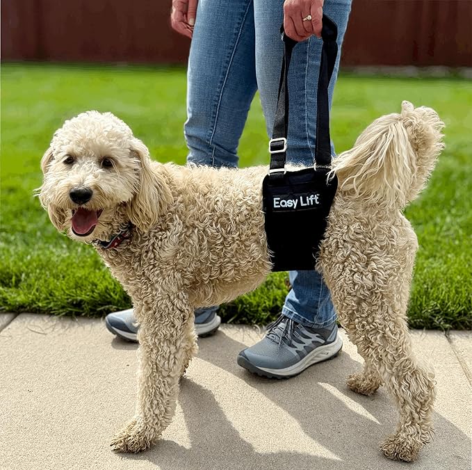 Easy Lift Dog Support Sling, Weak Hind Leg Harness for Injured, Arthritic & Senior Dogs, or Orthopedic Surgery Recovery & Rehabilitation, Machine Wash & Dry, Padded for Comfort (Medium)