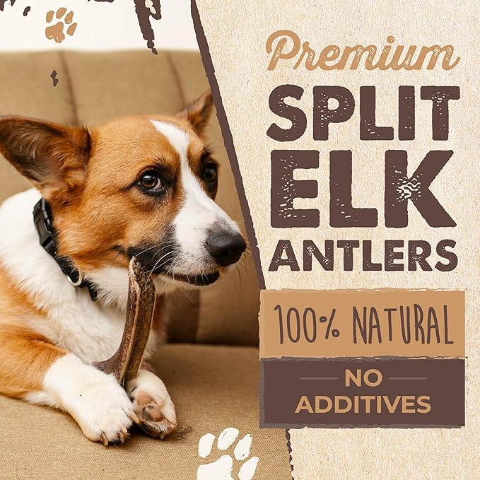 Mighty Paw Split Elk Antlers for Dogs (Sourced in The USA) | 2 Pack, Large 7"+ Long Lasting Bones for Aggressive Chewers - Naturally Shed Split Deer Antler for Dogs - Low Odor Chews
