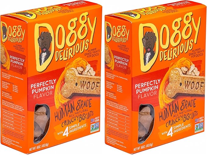 Doggy Delirious Crunchy Dog Treats – for All Pet Sizes, Breeds – All-Natural Puppy Treat – 100% Human-Grade – Delicious Pet Treat Bones, Snacks for Dogs – Pumpkin, 16 Oz. (Pack of 2)