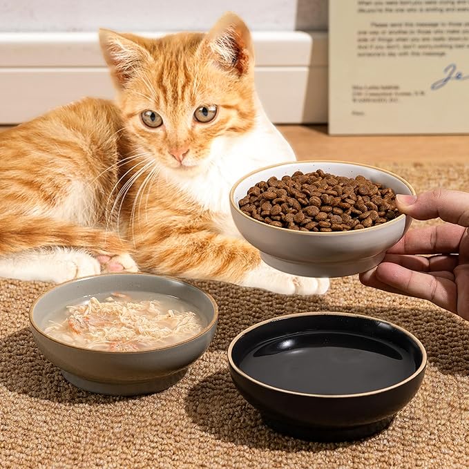 Cat Bowl 3 Pack, Pet Plate, Premium Ceramic Food Grade Pet Bowl Suitable for Dry and Wet Food, 5 in Feeding Indoor Cats, Kittens and Small Dogs, Dishwasher Safe (Black White Gray)