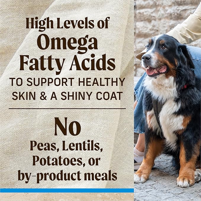 Merrick Healthy Grains Premium Large Breed Dry Dog Food, Wholesome And Natural Kibble For Big Dogs, Chicken - 30.0 lb. Bag