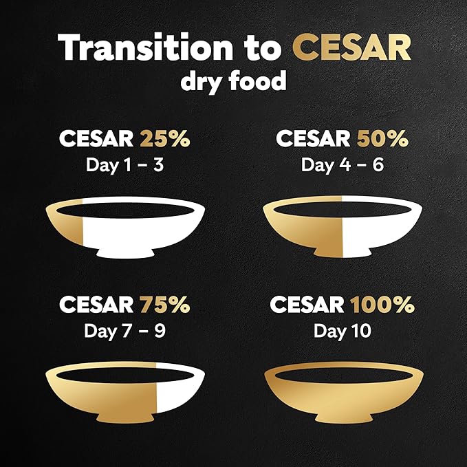 Cesar Small Breed Dry Dog Food for Small Dogs, Filet Mignon Flavor and Spring Vegetables Garnish, 12 lb Bag