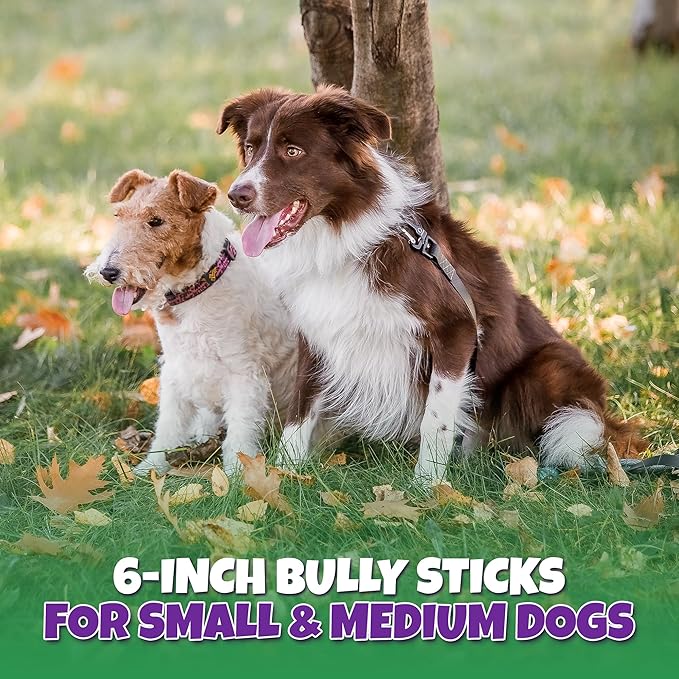 Bully Sticks for Dogs Sourced & Made in USA, All-Natural Taste, Shape, & Color, 6 inch Pizzle Sticks, Bully Bones for Small and Medium Dogs, Includes 12 to 14 Rawhide-Free Treats Per Bag, 8oz