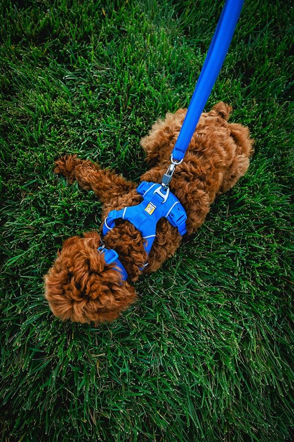Ruffwear, Front Range Dog Collar, Adjustable Tubelok Webbing, Lightweight, Side Release Buckle, Aluminum V-Ring, Durable for Everyday Use, Red Canyon, 11"-14"