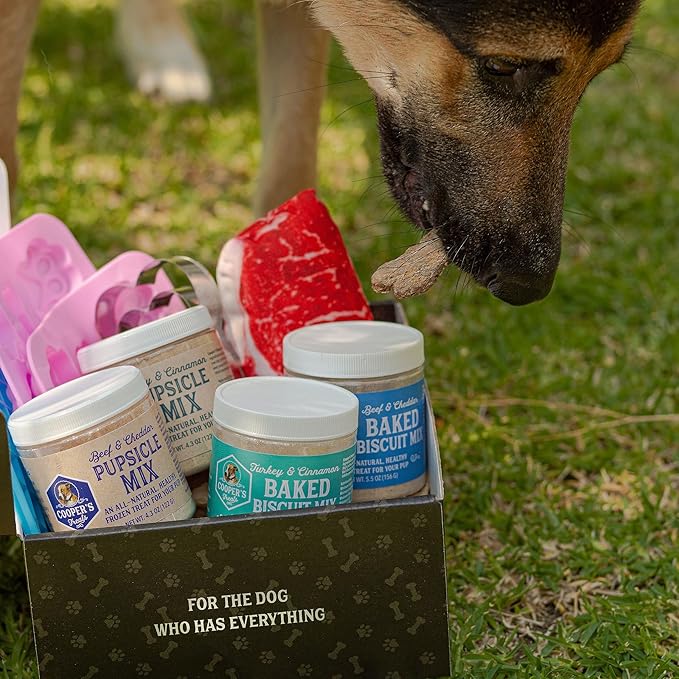 Cooper's Treats Doggie Deluxe Box - Make-at-Home Dog Treat Kit (Contains Four Jars of Treat Mix for Both Frozen and Baked Treats, Plus Lots More Goodies - The Perfect Dog Gift Box!)