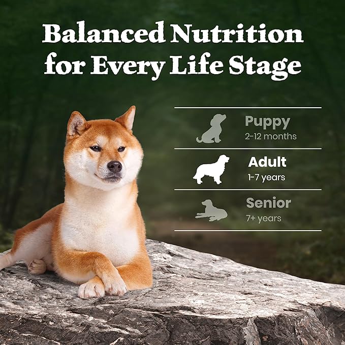 Blue Buffalo Wilderness 38 g Protein, Meat Rich Natural Adult Dry Dog Food, Lamb, Chicken-Free Formula, 4.5lb Bag