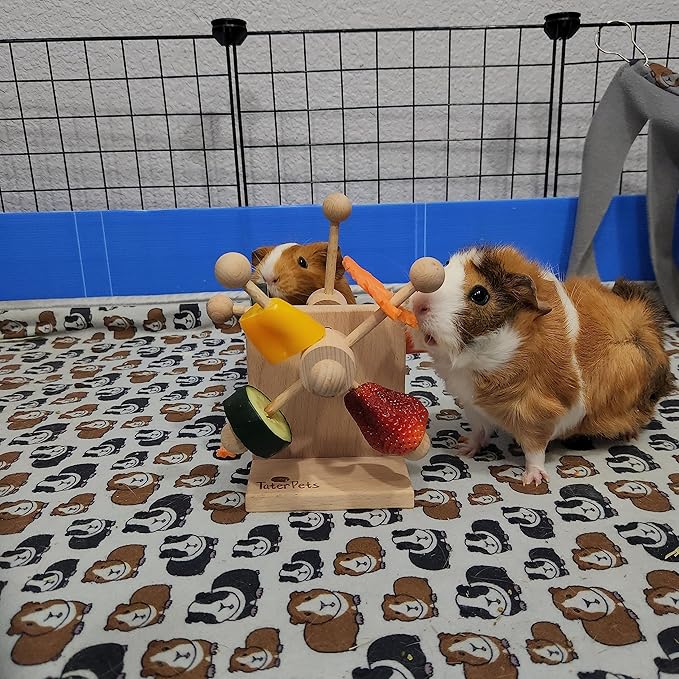 Enrichment Toy Turning Hanging for Guinea Pigs, Rabbits, Birds, Rats and Other Small Pets! Load with Veggies and Fruit (Two-Turntable Toy)