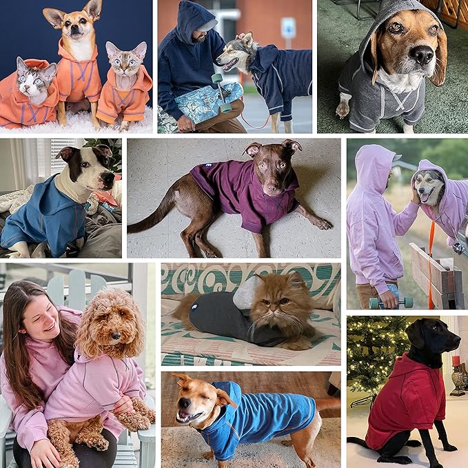 Blueberry Pet Essentials Soft & Comfy Better Basic Cotton Blend Dog Hoodie Sweatshirt in Red, Back Length 24",