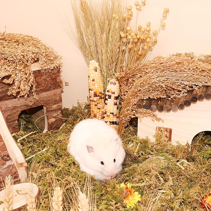 Sprays Set = Wheat + Flax + Yellow Millet + Panicle Millet + Corn Cob + Sorghum Stems, Pet Habitat Bedding Decor, Natural Hamster Chews Accessories, for Gerbil, Mice, Guinea Pig, Chinchilla, 6 Sprays