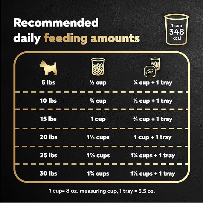 Cesar Small Breed Dry Dog Food for Small Dogs,Rotisserie Chicken Flavor and Spring Vegetables Garnish,12 lb Bag,(Pack of 2)