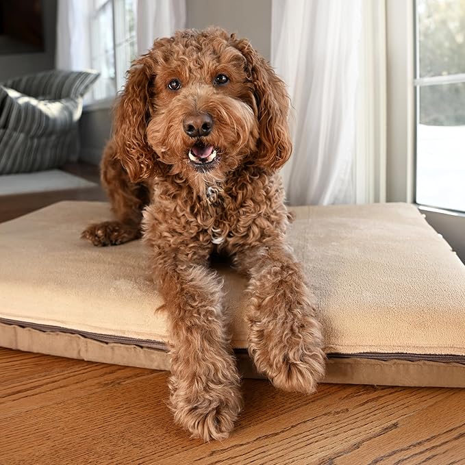 54X37 X4 XL Beige Color Orthopedic Memory Foam Pet Bed Mattress for Large Dog with 2 External Covers + Waterproof Internal Cover